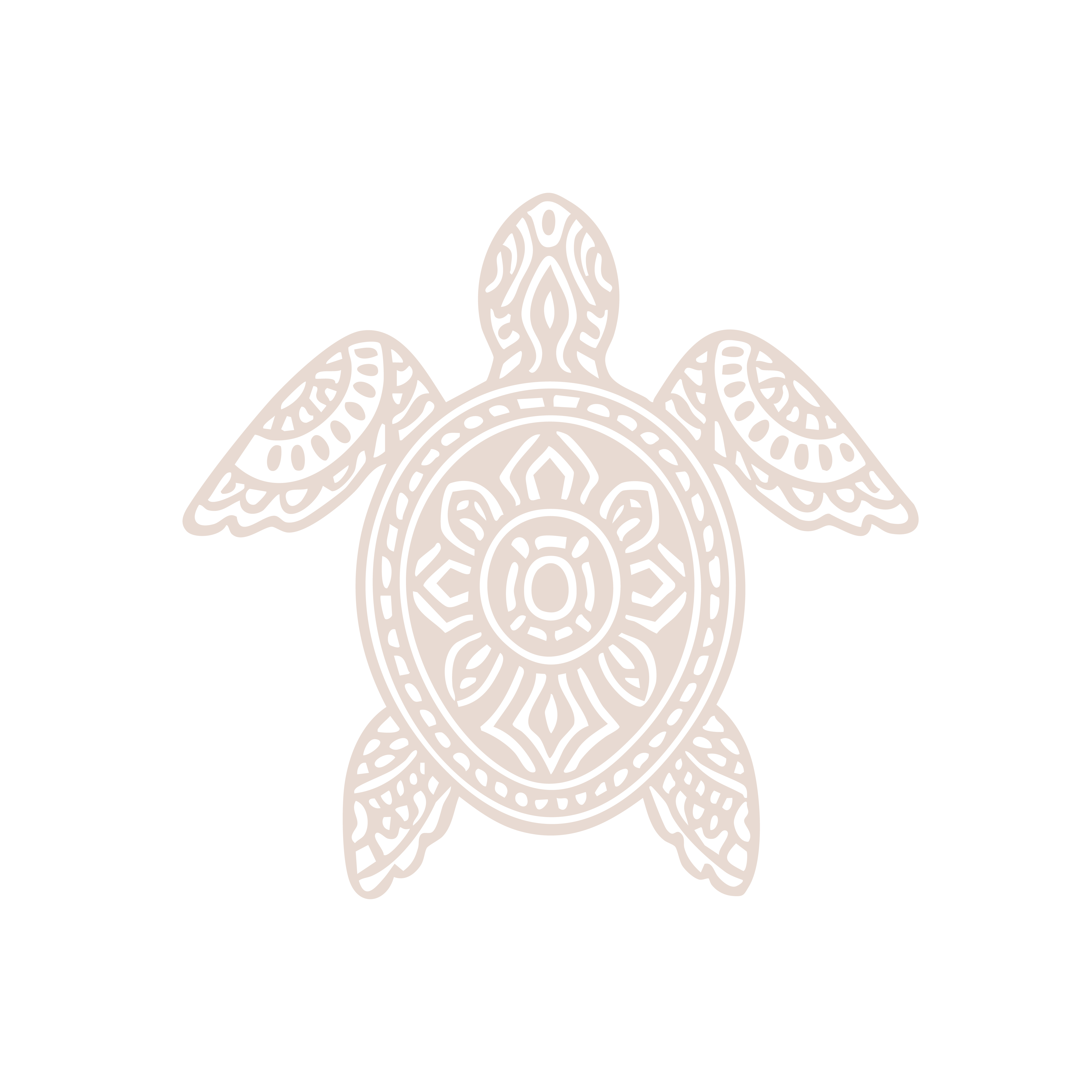 000_alta_ Logo lattitude tortuga color.png